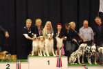 20-10-2013: Groningen: 1st place breeders group.